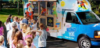 Image result for kona ice food truck images