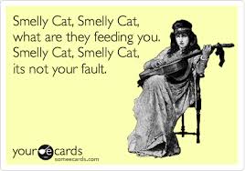 Smelly Cat Smelly Cat What Are They Feeding You Smelly Cat Smelly Cat Its Not Your Fault I Love My Friends Friends Tv Show I Love To Laugh