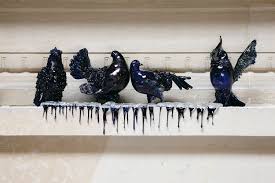 selection work sculptures objects and installations angelos by jan fabre