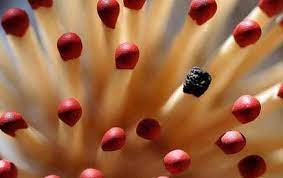 Best Photography Macro Abstract Ideas 62 Ideas Macro Photography Macro Photography Abstract Close Up Photography