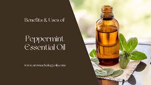 Image result for Peppermint Oil