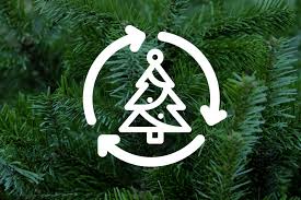 Also ab wann, machen diese stände auf und. Euer Weihnachtsbaum Wird Abgeholt Harsewinkler