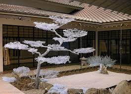 The Morikami Museum And Japanese Gardens In Delray Beach Boca Raton Florida The Stone Garden Just Behind Infrared Photography Japanese Garden Garden Stones