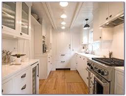 Pictures of muscles and bones / figure 4 from agin. Remodeling Small Galley Kitchen Ideas Popular Century