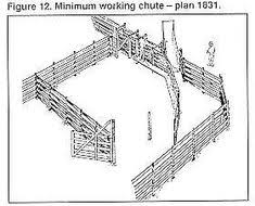 Pen Designs Cattle Working Facilities Cattle Corrals Livestock Barn Plans Cattle Facility