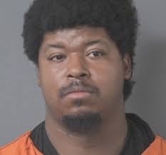 Defendant judged incapable of standing trial