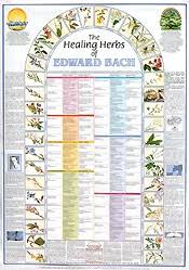 3 Bach Flower Remedy Wall Chart Ready Reference Bach Flower