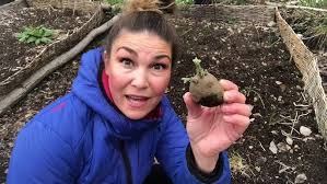 Ella Nilsson lär oss koka mandelpotatis (teaser)