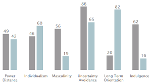Dimensions Organizational Structure Cultural Competence Marketing Models