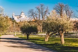 Sus orígenes se remontan a finca de palacios reales en el renacimiento hasta 1931 tiene como parte de sus límites el barrio de la latina y pozuelo de alarcón. Casa De Campo