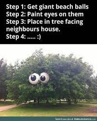 How To Terrify Your Neighbours Funsubstance Funny Pranks Pranks April Fools Pranks