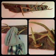 Pin By Becky Fulmer On Home Deco Diy Hat Rack Antler Coat Rack Deer Decor