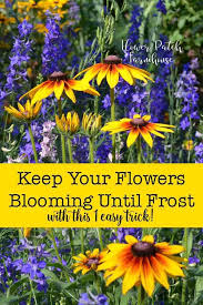 10 of the longest flowering perennials for your garden. Want To Know The Secret To Beautiful Long Lasting Blooms In Your Garden All Summer Long Ev Beautiful Flowers Garden Flower Landscape Organic Vegetable Garden