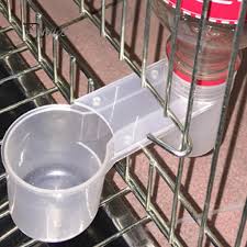 Check spelling or type a new query. Buy Water Drinker Cup Feeder Drinking Bowl For Bird Pigeons Parrot At Affordable Prices Free Shipping Real Reviews With Photos Joom
