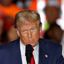 Trump presidency could deal heavy blow to Germany's flagging economy