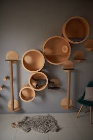 Amelia Broadbent (ameliabroadbent)