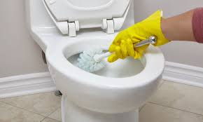 to unclog a toilet with poop in