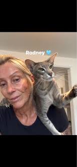 Anyone know how to keep other people's cats out of my bloody house? Sick of  them eating my cats food all the time, I'm having to buy twice the amount  of food