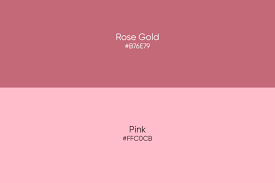 Rose Color Studies – Florist Studies – Flirty Fleurs The Florist Blog –  Inspiration For Floral Designers