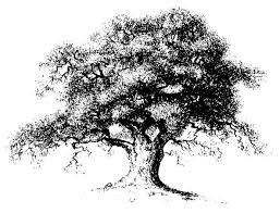 I am a mighty and ancient oak tree with limbs always reaching out. The Mighty Oak The One Pagan Europe Vinland Shore