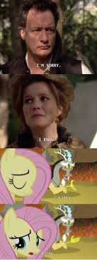 Q Janeway Discord Fluttershy Parallels Between Star Trek Voyager And My Little Pony My Little Pony Friendship Mlp Pony Mlp Memes