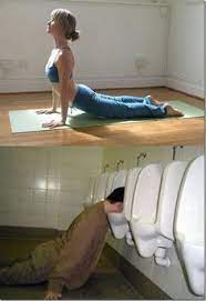 Find out more and where to buy skyy vodka. 13 Yoga And Vodka Funny Picture Ideas Funny Pictures Funny Vodka Humor