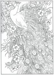These are free colouring pages, not to be sold anywhere. Quotes About Love For Him Peacock Feather Coloring Pages Colouring Adult Detailed Advanced Printable Kleur Omg Quotes Your Daily Dose Of Motivation Positivity Quotes Sayings Short Stories