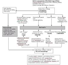 hypovolemic shock อาการ symptoms