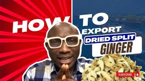 10 WAYS TO GO INTO GINGER BUSINESS 2025