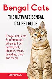 Learn everything about the orange tabby cats and some interesting facts about them. Bengal Cats Bengal Cat Facts Information Where To Buy Health Diet Lifespan Types Breeding Care And More The Ultimate Bengal Cat Pet Guide Kindle Edition By Brown Lolly Crafts Hobbies