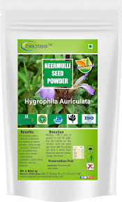 Image result for Hygrophila schulli