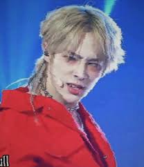 Max Caetano Teles Pitbull