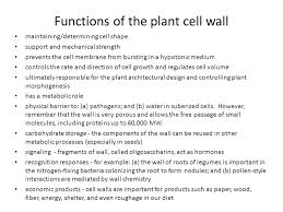 All cells have cell membranes, but generally only plants, fungi the cell wall has a few different functions. Pbio 691 Seminar Plant Cell Walls Ppt Video Online Download