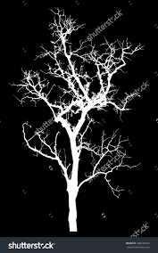 Black And White Photos Of Trees Silhouette White Tree Isolated On Black Background With Clipping Path Tree Dry Dead Silhouette White Black I White Tree Black White Art Tree Silhouette