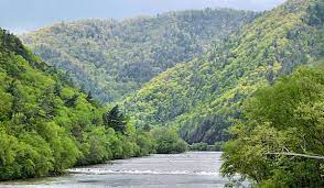 Carolina hwy is 0.3 miles past guess dr. Hot Springs North Carolina