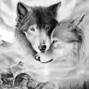 The latest news from wolves. Https Encrypted Tbn0 Gstatic Com Images Q Tbn And9gcttismlmmtgllvuerljica0bs3e Mc X4q0cxs9v5jcxbkjoywx Usqp Cau