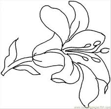 Art, coloring pages for adults. Lily 15 Coloring Page Coloring Page Malvorlagen Blumen Blumenzeichnung Blumen Zeichnen