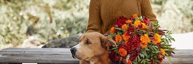 See more ideas about shark tank, shark tank success, shark. The Bouqs Co Reviews Flowers Gifts At 4094 Glencoe Avenue Marina Del Rey Ca