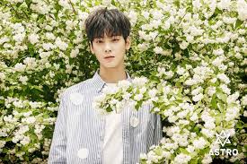 While waiting for cha eun woo for his solo fan meeting in manila ; Los Dramas Donde Cha Eun Woo Nos Robo El Corazon The Kpop Idols