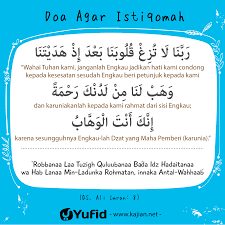 Mushroom agar premix (map) is the world's #1 most effective agar mix for mycology use. Doa Untuk Bekerja Islam Nusagates