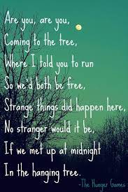 Pin By Trinity Posey On I Am The Mockingjay Hunger Games Hunger Games Mockingjay Hunger Games Catching Fire