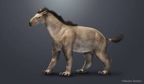 Image result for Anthonotha