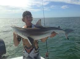 Fishprocharters provides half day, three quarter day, and full day deep sea fishing charters for big grouper, snapper, hogfish, tuna, and much more. Saint Pete Beach Shark Picture Of Spanish Sardine Fishing Charter St Petersburg Tripadvisor