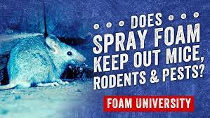 Does Spray Foam Keep Out Mice Rodents And Pests Foam University Youtube