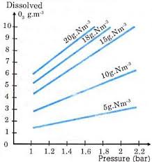 Ozone Transfer Mechanisms