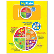 My Plate Poster Chart