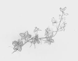 Check out my etsy shop to get a drawing of your birth flower! July Birth Flower Tattoo Drawing Novocom Top