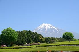 Obuchi Sasaba And Imamiya Best Green Tea Plantations In Shizuoka Japan Web Magazine Our companyfuji new energy (nantong) co., ltd. best green tea plantations in shizuoka