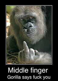 We did not find results for: Middle Finger Gorilla Says Fuck You Middle Finger Gorilla Says Fuck You