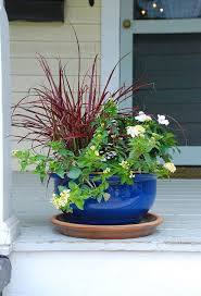 The Vibrant Colors Of Viva Annuals And Perennials Can Make The Entrance To Your Home Even More Wel Container Gardening Flowers Flower Pots Container Gardening